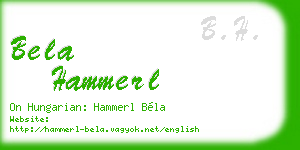 bela hammerl business card